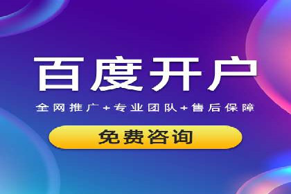 SEM推广实战：案例分析及优化建议